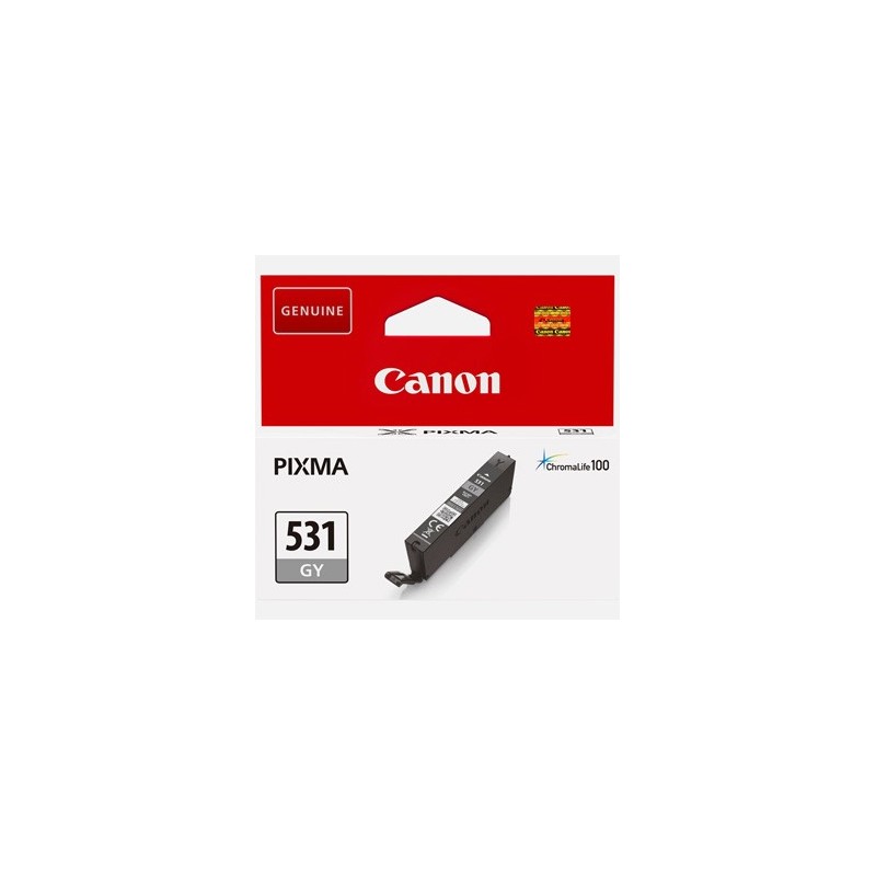 Canon oryginalny ink / tusz CLI-531 GY, 6122C001, grey, 324s