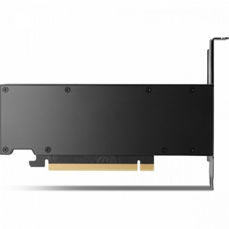 Karta graficzna NVIDIA RTX 2000 Ada 16GB 4mDP GFX 8D6B8AA Karta graficzna NVIDIA RTX 2000 Ada 16GB 4mDP GFX 8D6B8AA