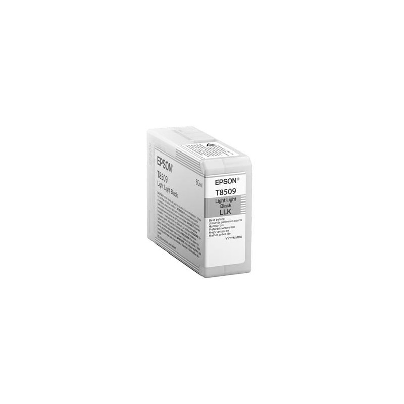 Epson oryginalny ink / tusz C13T850900, light black, 80ml