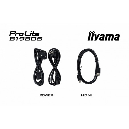 Monitor 19 cali B1980S-B1 HDMI,DP.PIVIOT,HAS/150mm 