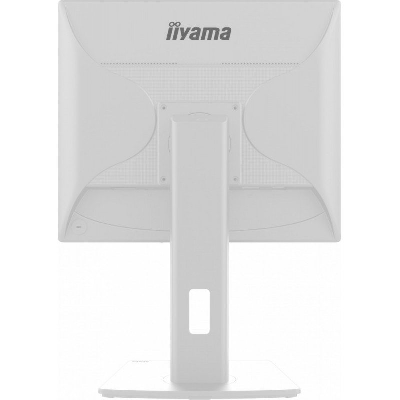 Monitor 19 cali B1980S-W1 HDMI,DP.PIVIOT,HAS/150mm 