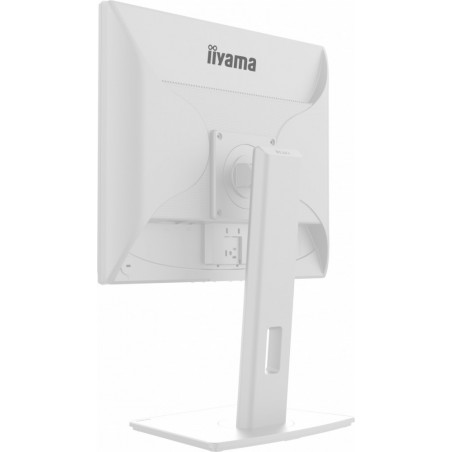 Monitor 19 cali B1980S-W1 HDMI,DP.PIVIOT,HAS/150mm 