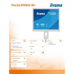 Monitor 19 cali B1980S-W1 HDMI,DP.PIVIOT,HAS/150mm 