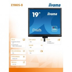 Monitor 19 cali E1980S-B1 HDMI DP 250cd 3ms 