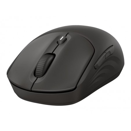 HP 405 Quiet BLK Wireless Mouse EMEA INTL Euro plug (EN) HP 405 Quiet BLK Wireless Mouse EMEA INTL Euro plug (EN)