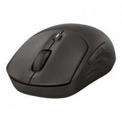 HP 405 Quiet BLK Wireless Mouse EMEA INTL Euro plug (EN) HP 405 Quiet BLK Wireless Mouse EMEA INTL Euro plug (EN)