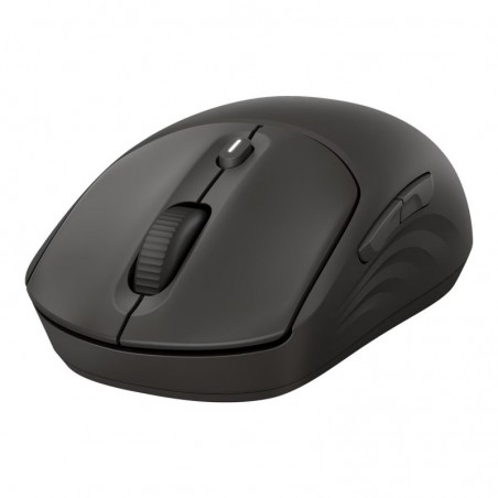 HP 405 Quiet BLK Wireless Mouse EMEA INTL Euro plug (EN) HP 405 Quiet BLK Wireless Mouse EMEA INTL Euro plug (EN)