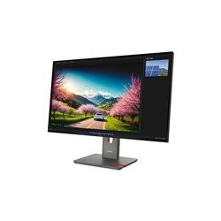 LENOVO ThinkVision P32UD-40 31.5inch IPS UHD 16:9 120Hz 350cd/m2 8ms HDMI DP TBT4