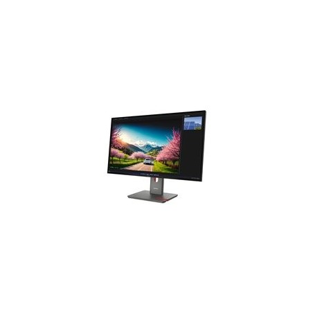 LENOVO ThinkVision P32UD-40 32inch IPS UHD 16:9 120Hz 350cd/m2 8ms HDMI DP TBT4 LENOVO ThinkVision P32UD-40 32inch IPS UHD 16:9 120Hz 350cd/m2 8ms HDMI DP TBT4