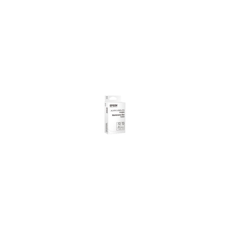 EPSON C13T295000 Zestaw konserwacyjny Epson WorkForce WF-100W