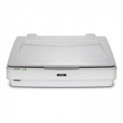 EPSON Expression 13000XL Pro Flatbed scanner A3 2400x4800dpi USB 2.0