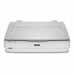 EPSON Expression 13000XL Pro Flatbed scanner A3 2400x4800dpi USB 2.0