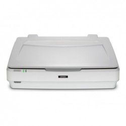 EPSON Expression 13000XL Pro Flatbed scanner A3 2400x4800dpi USB 2.0
